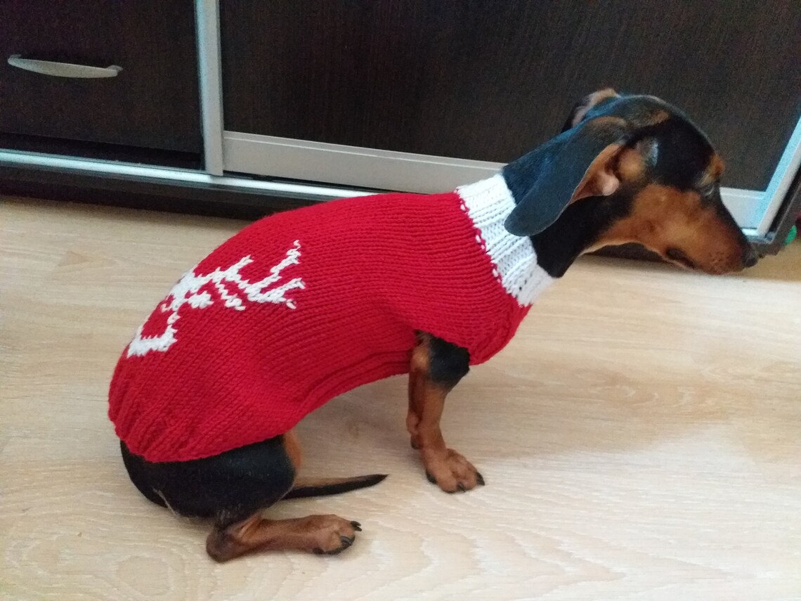 Christmas red sweater with deer for dachshund dog Christmas Etsy