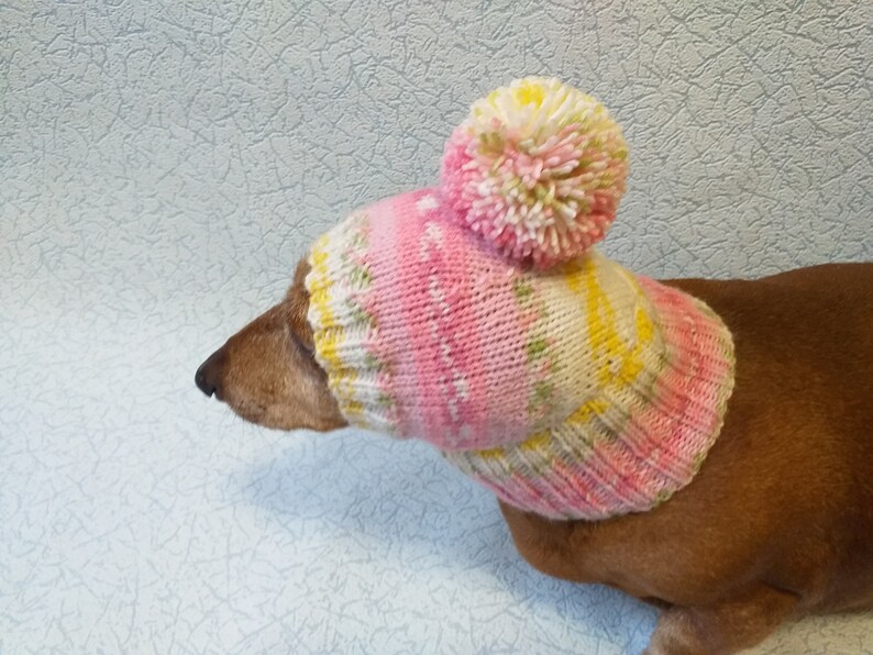 Knitted Dachshund Hat With Big Pompom Doxie Clothes Doxie Etsy