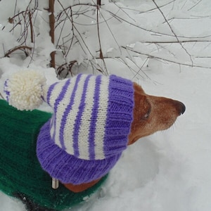 Striped pet snood hat for dog with pompom