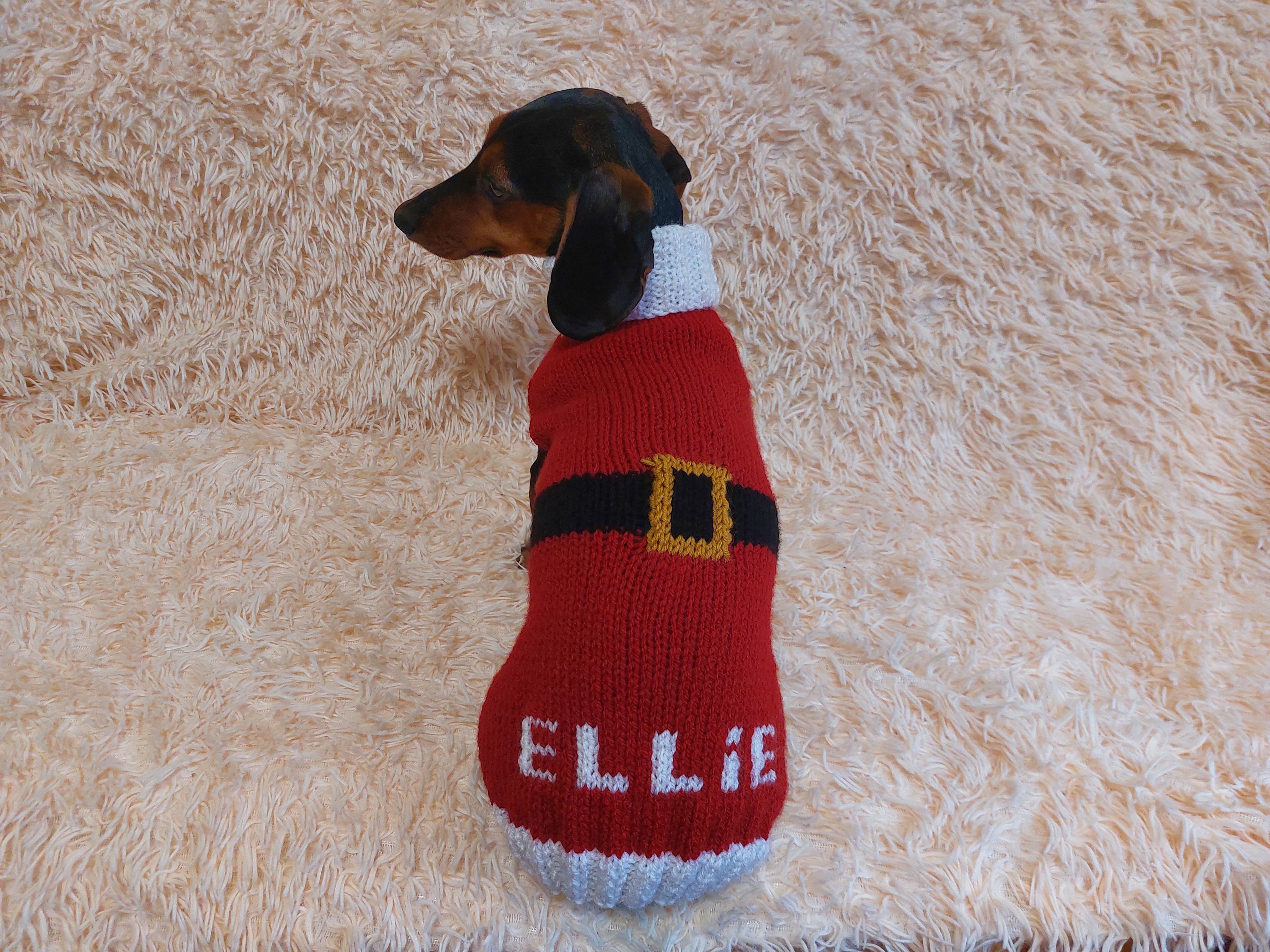 Personalized Dog Jumper santa Costume With Pet Name for Dachshund Etsy