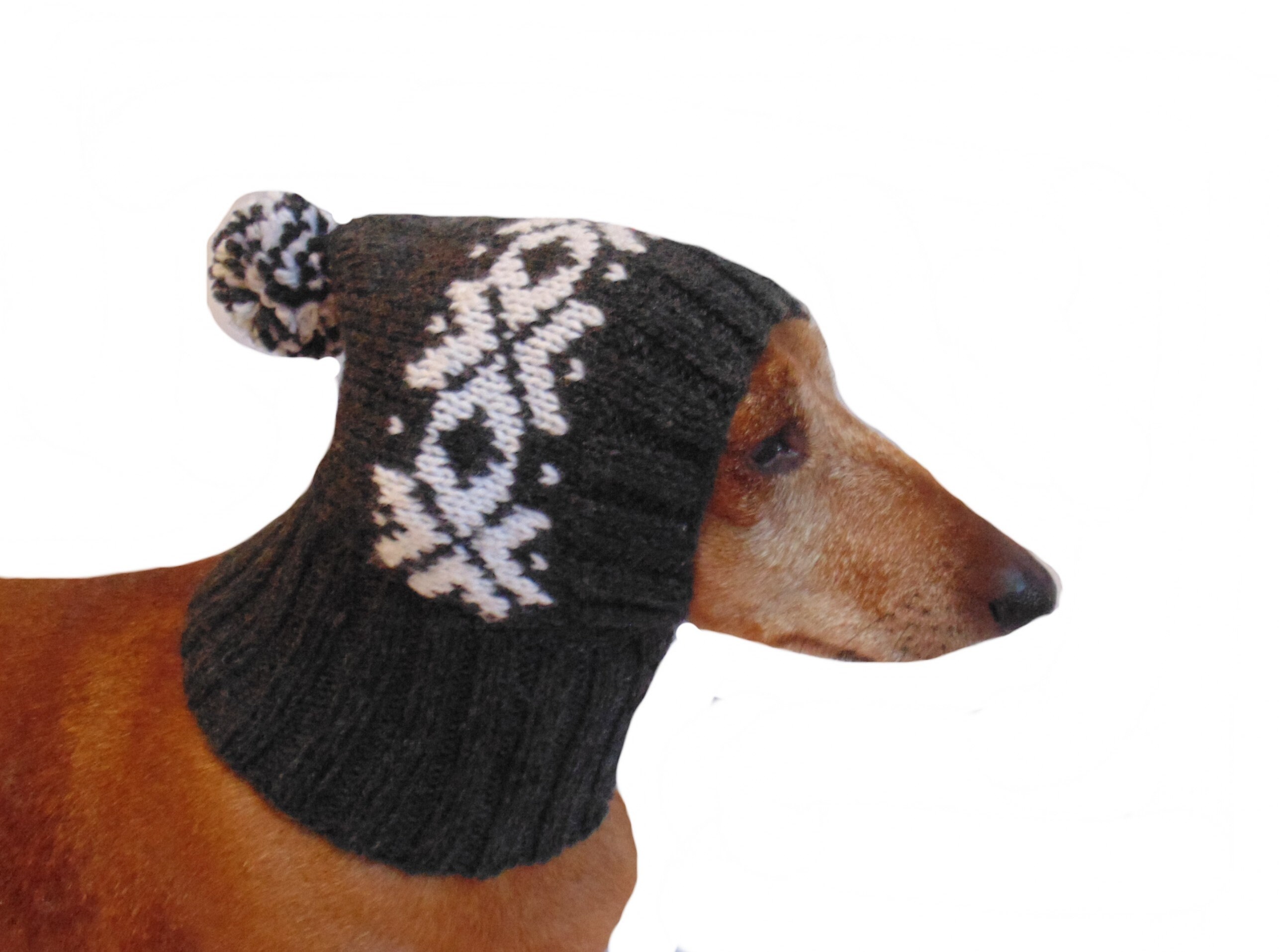 Winter Knitted Hat for a Small Doghat 