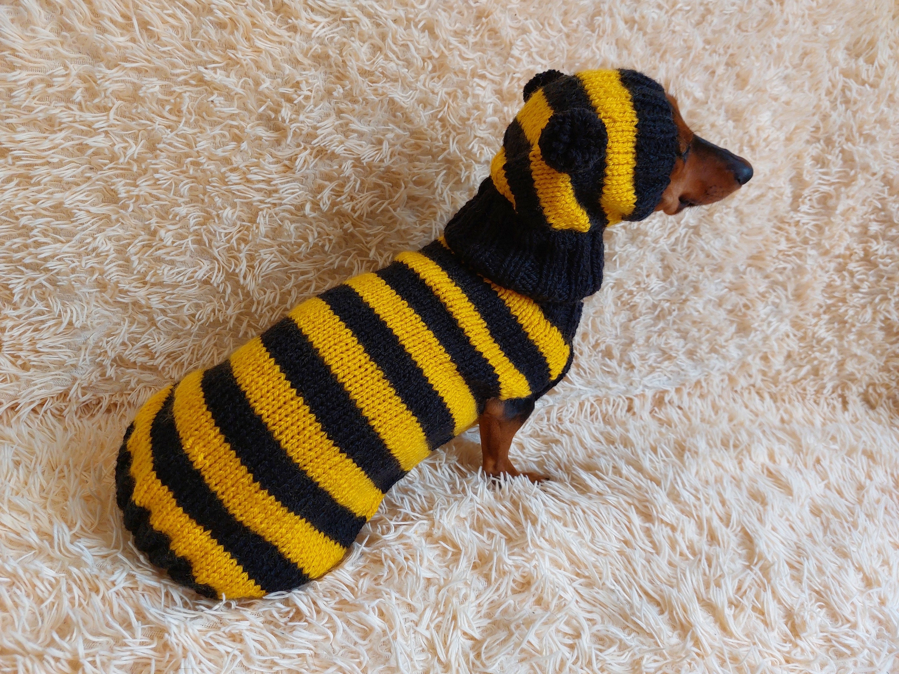 Halloween costumes for miniature dachshunds sale