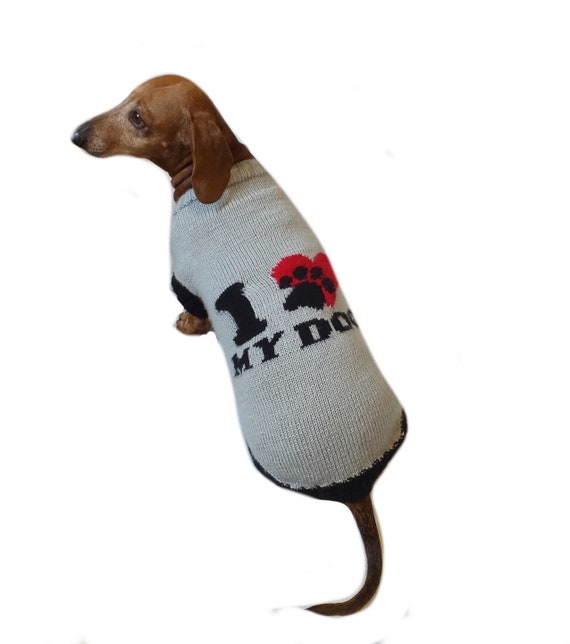 sweater for my dog