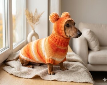 Conjunto de suéter y gorro de punto hecho a mano para perro, atuendo de invierno para teckel, disfraz con capucha y pompón.