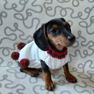 Puede incluir: Un perro salchicha con un su&eacute;ter blanco tejido con pompones rojos y verdes y un cuello a juego. El perro tiene pelaje negro y marr&oacute;n y est&aacute; sentado sobre una superficie estampada.