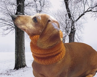 Winter Christmas clothes for dogs knitted hat with pompon, doxie clothes, doxie hat