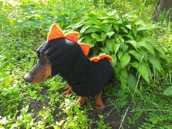 Disfraz de dinosaurio para perros suéter y sombrero de - Etsy México Disfraz de dinosaurio para perros suéter y sombrero de - Etsy México