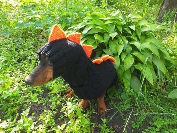 operación empujoncito política Disfraz de dinosaurio para perros suéter y sombrero de - Etsy México