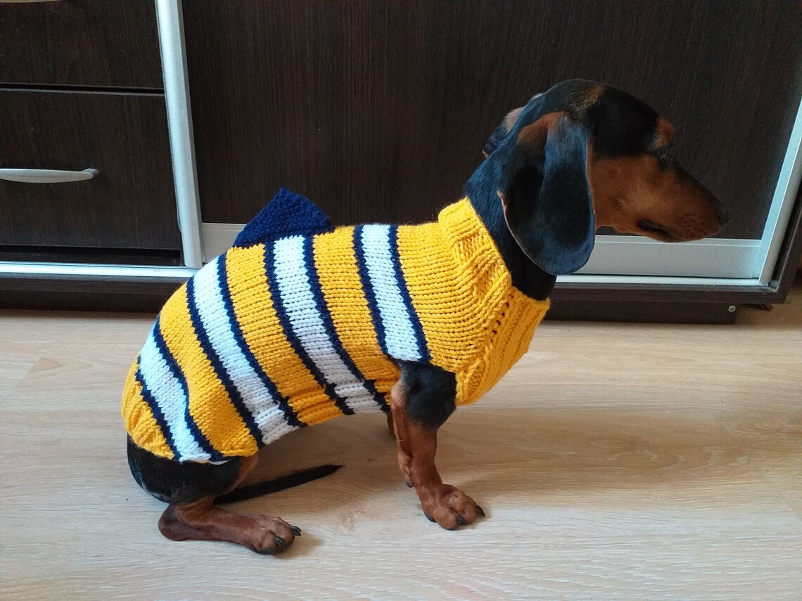 Fish costume for dog sweater sweater fish for dogs clothes