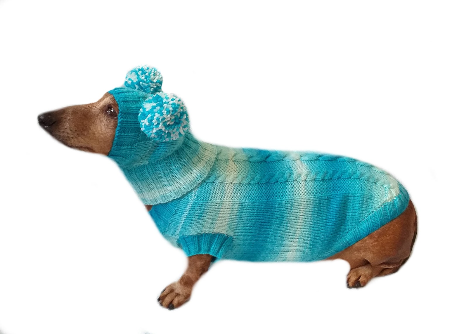 Warm blue suit sweater and hat for dog hat for dachshund Etsy