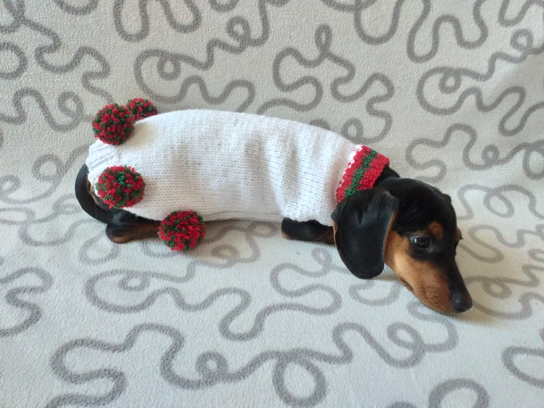 Puede incluir: Un perro salchicha con un su&eacute;ter blanco tejido con pompones y adornos rojos y verdes. El perro tiene pelaje negro y marr&oacute;n y est&aacute; acostado sobre una superficie estampada. El su&eacute;ter cubre el cuerpo del perro.