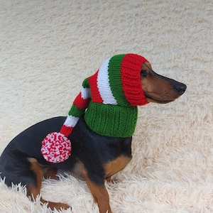 Knitted Wool Blend Santa Hat for Dog: Dachshund Christmas Costume