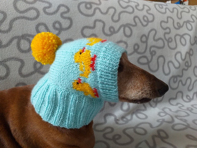 Enten gestrickte Mütze für Hunde Kleidung für Hunde mit Enten Etsy