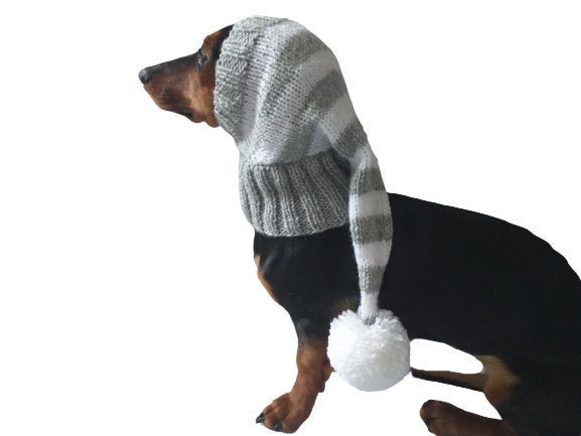 Christmas elf hat for dachshunds or small dogs Dog Elf Hat Etsy