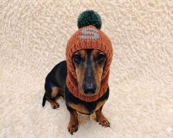 Personalized Dog Hat with Letter of the Name Warm Monogrammed Winter cap Pet: Angora Wool warm Custom Initial Beanie for dachshund