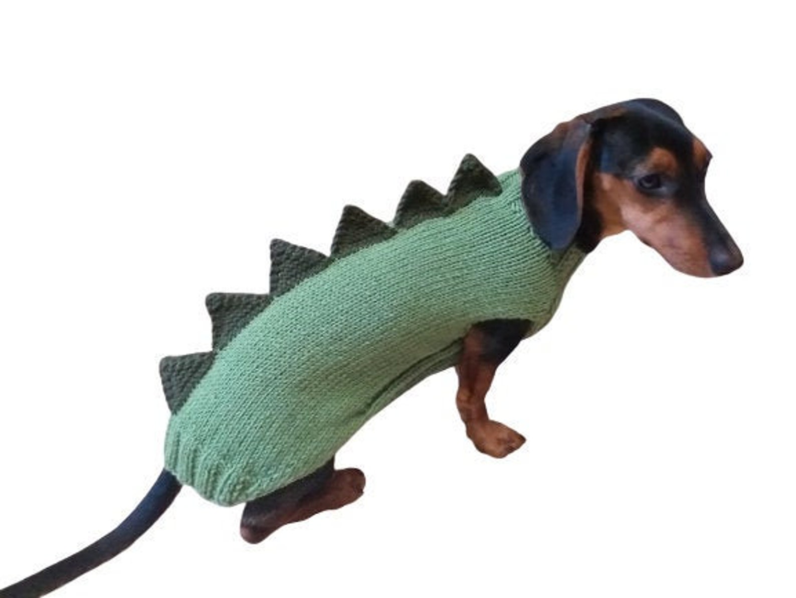 Green dinosaur sweater for dachshund or small dogDinosaur Etsy