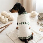Dachshund Clothing