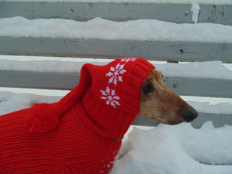 Christmas Hat for Dog Santa Hat for Dog Hat for Dog Hat for Etsy