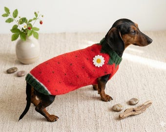 Original strawberry dog sweater, festive knitted jumper for pets, warm cloches dachshund costume