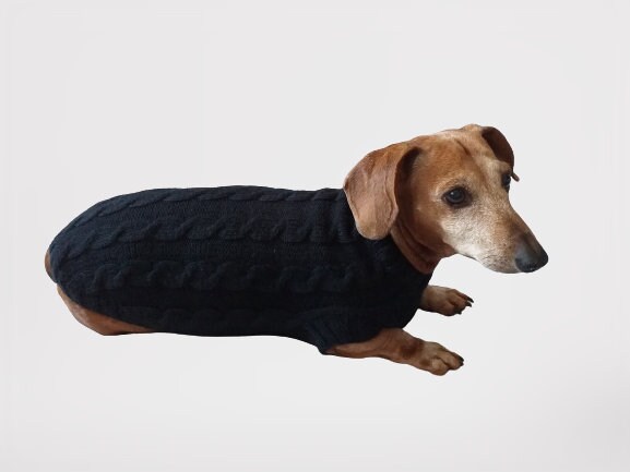 sweaters made for dachshunds