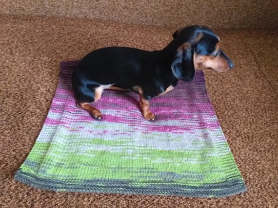 Knitted top dog blanket