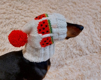 Pet clothes hat snood watermelon ice cream for dog