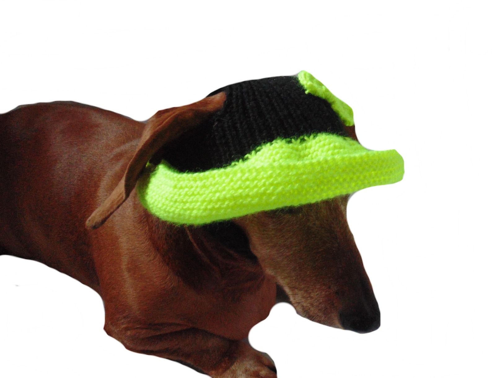 Summer Knitted Hat for Dogs Panama for Dogs Hat for Dogs Etsy UK