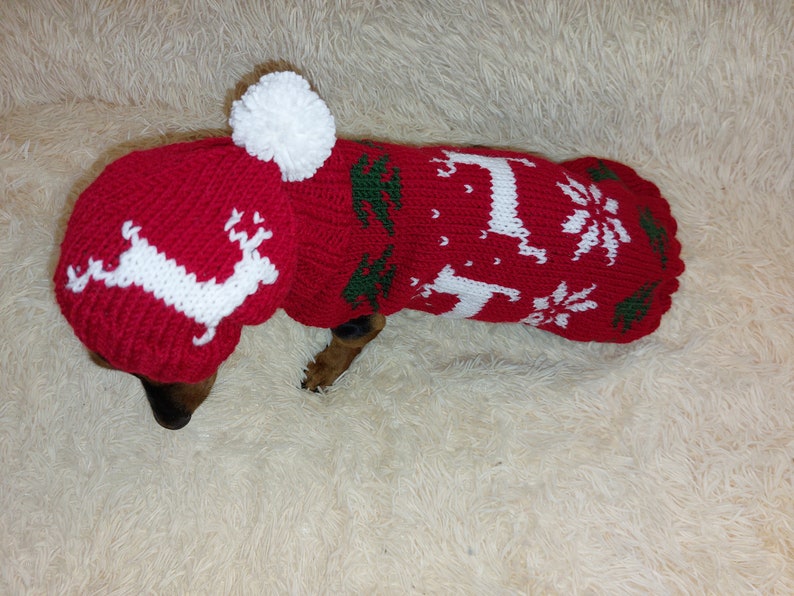 Christmas Outfit for a Dachshund Costume Sweater and Hat With Etsy