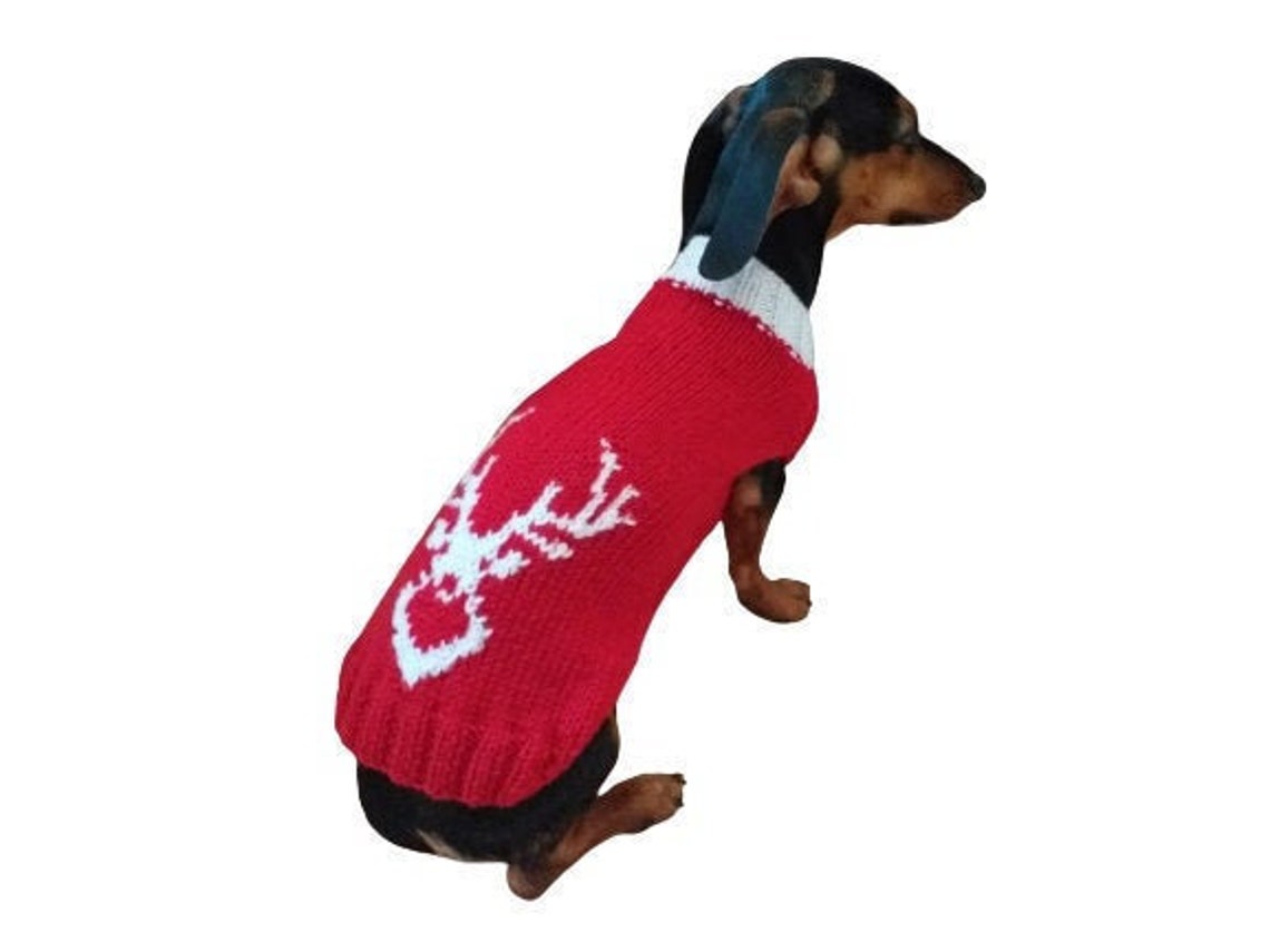 Christmas red sweater with deer for dachshund dog Christmas Etsy