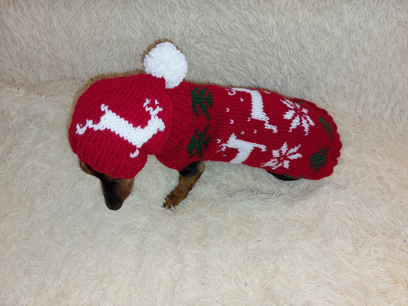 Christmas Outfit for a Dachshund Costume Sweater and Hat With Etsy