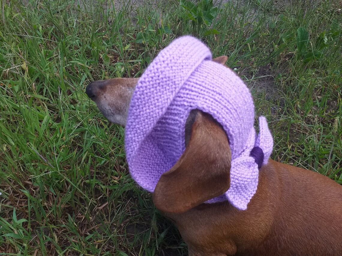 Summer knitted hat for dogs panama for dogs hat for dogs Etsy