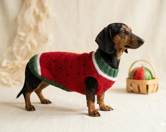 Watermelon Original dog sweater, festive knitted jumper for pets, warm cloches dachshund costume