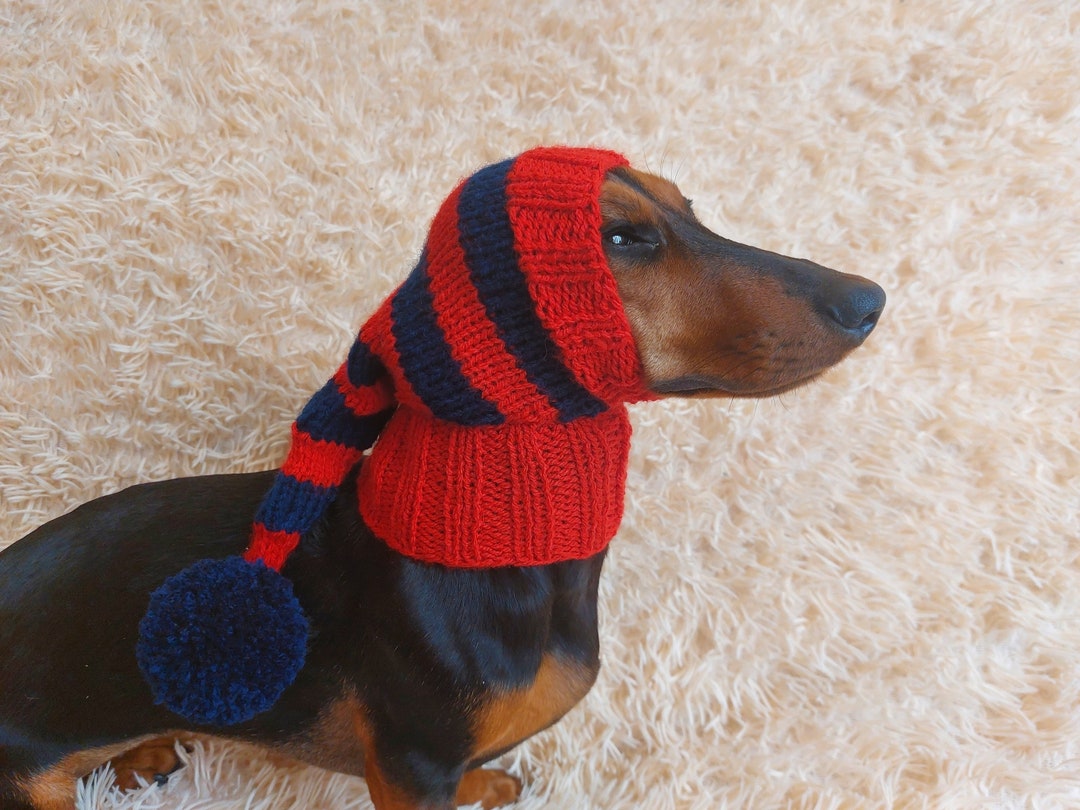 Christmas Elf Hat for Dachshunds or Small Dogs Dog Elf Hat Etsy