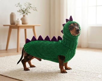 12 kleuren teckel Halloween dinosaurus outfit kostuum trui en hoed