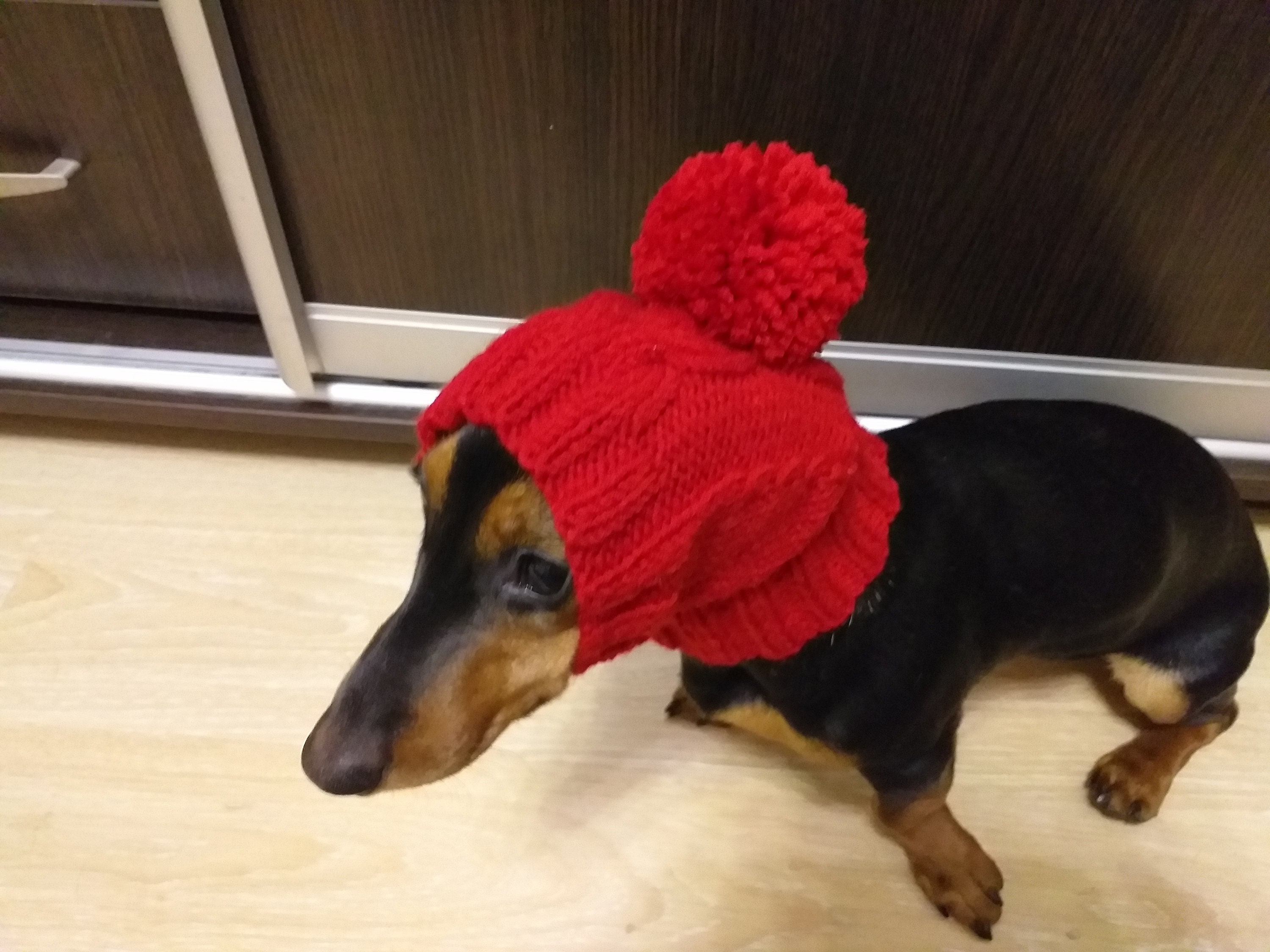 Knitted Hat With Pom Pom for Dogs Hat With Pom Pom for Mini Etsy