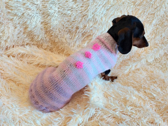 angora dog sweater
