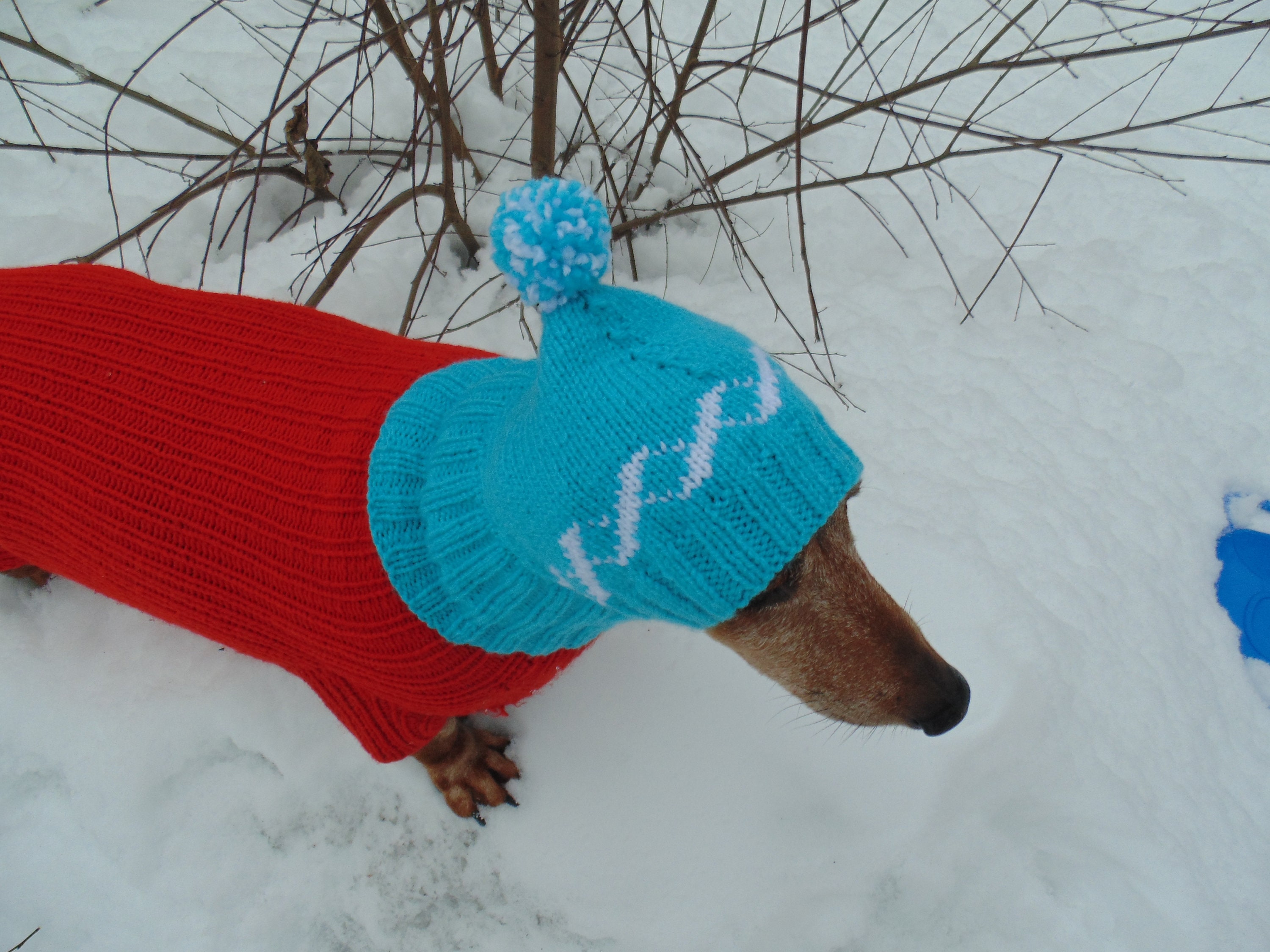 Winter Knitted Hat for Small Doghat for Dogs Pet Clothes Etsy
