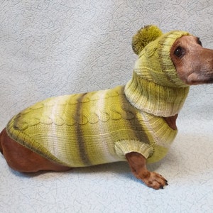 Handmade Dachshund Sweater and Hat Set: Winter Dog Clothes