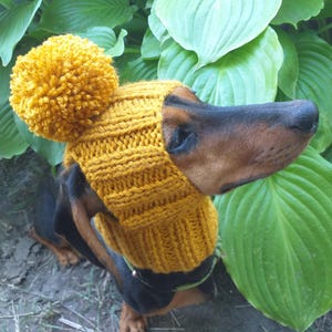 Gorro de punto con pompón para perro de invierno de 20 colores, gorro cálido con orejas abiertas para perro salchicha, ropa para mascotas, gorra, atuendo, regalo para amantes de los perros