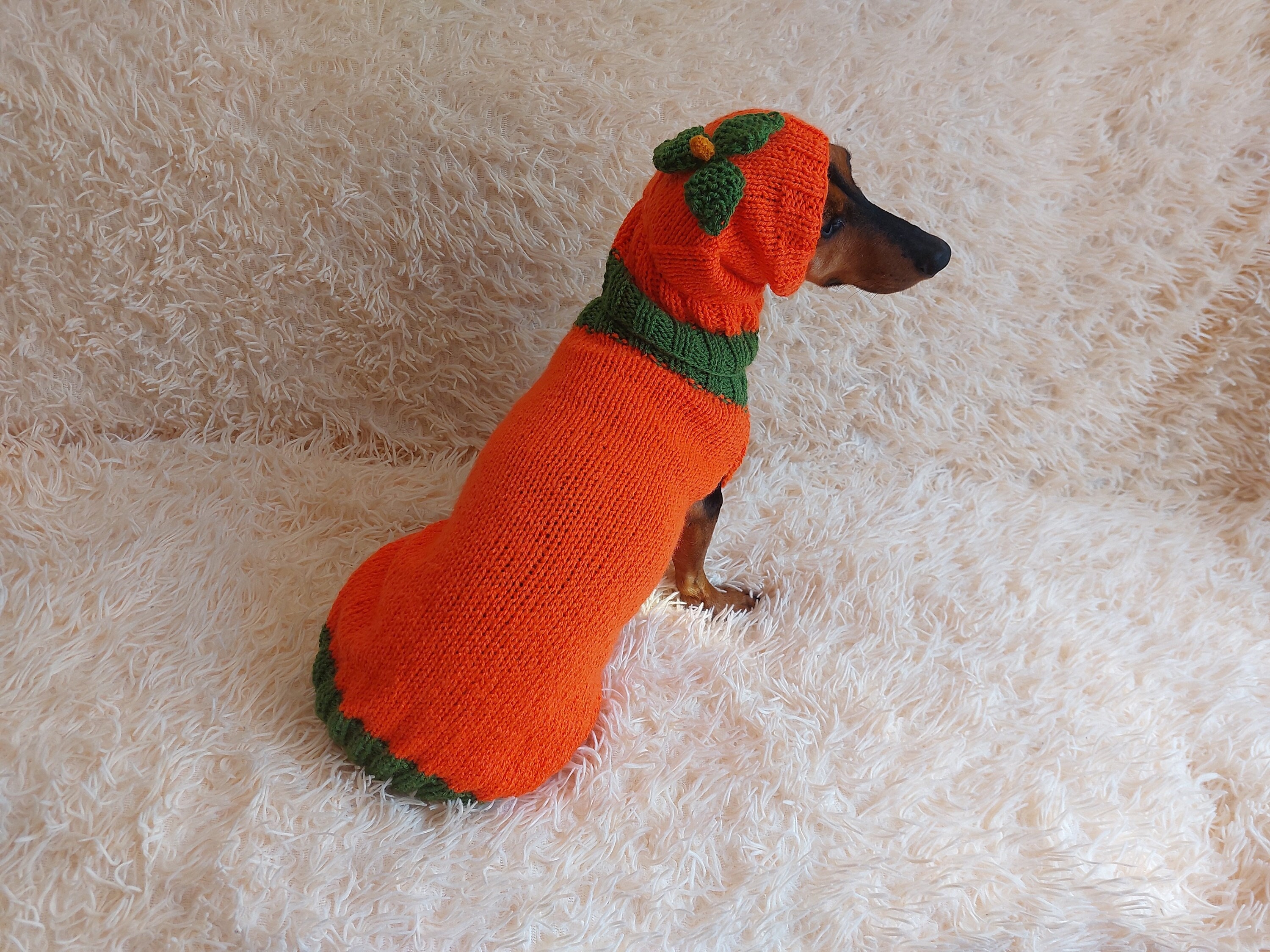 Apfel-Haustierkostüm Für Hunde – Kapuzenpullover Für Halloween & Weihnachten