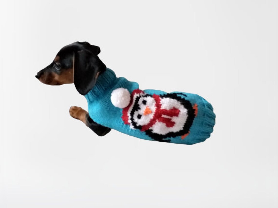 Christmas penguin sweater for dogs santa sweater for dogs Etsy
