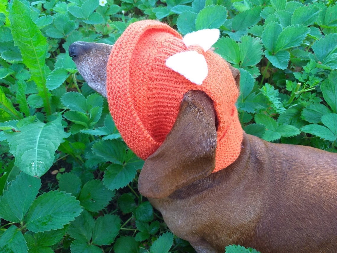 Summer Knitted Hat for Dogs Panama for Dogs Hat for Dogs Etsy