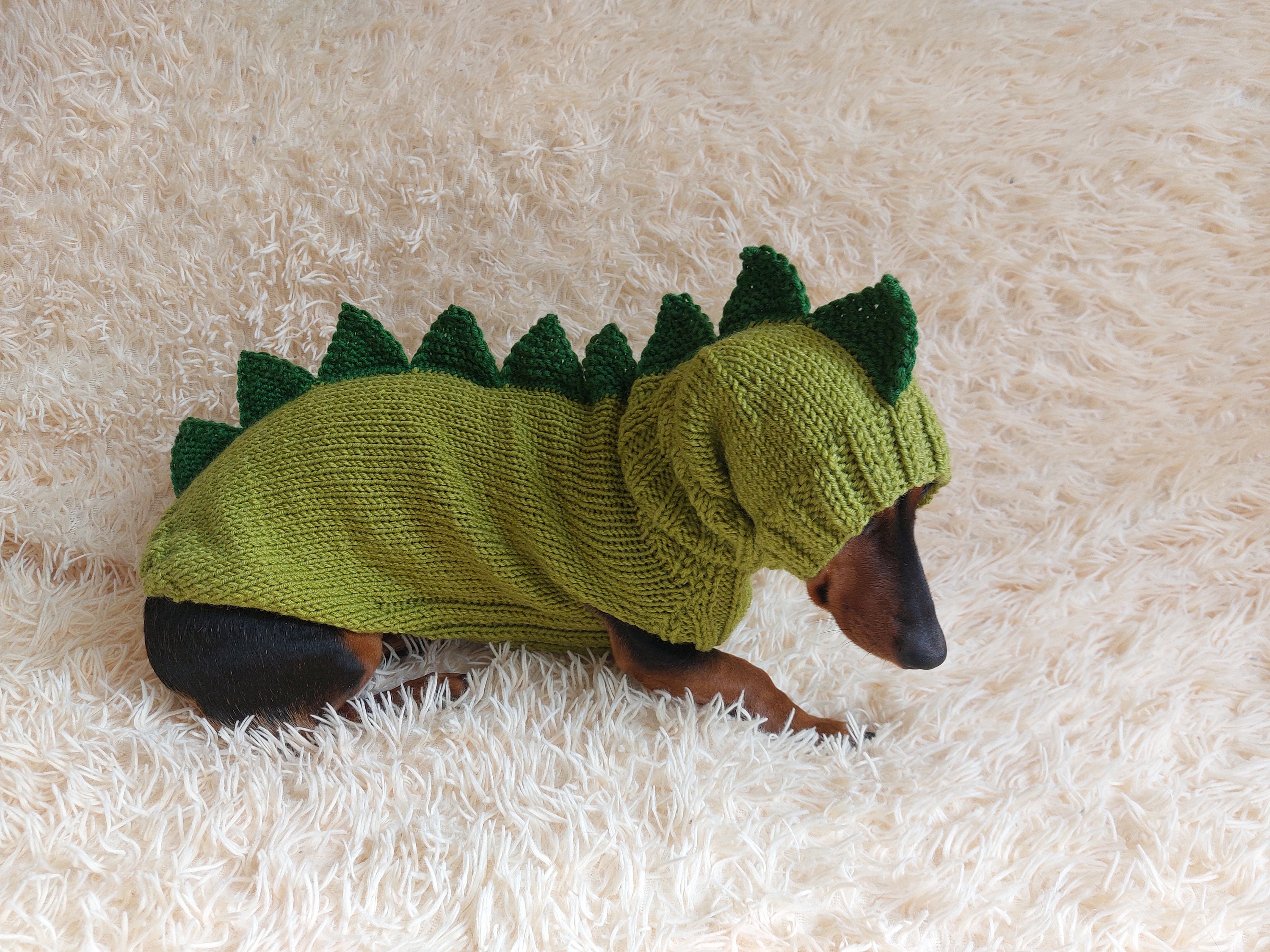 Puppy dinosaur costume 2025