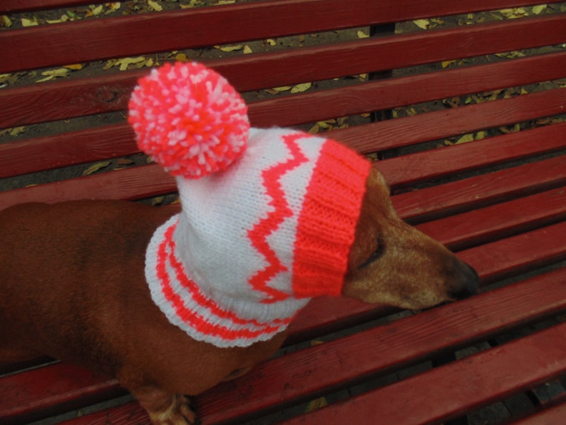 Warm Hat for Dog or Cat Hat for a Dog Hat for Small Dog Hat Etsy