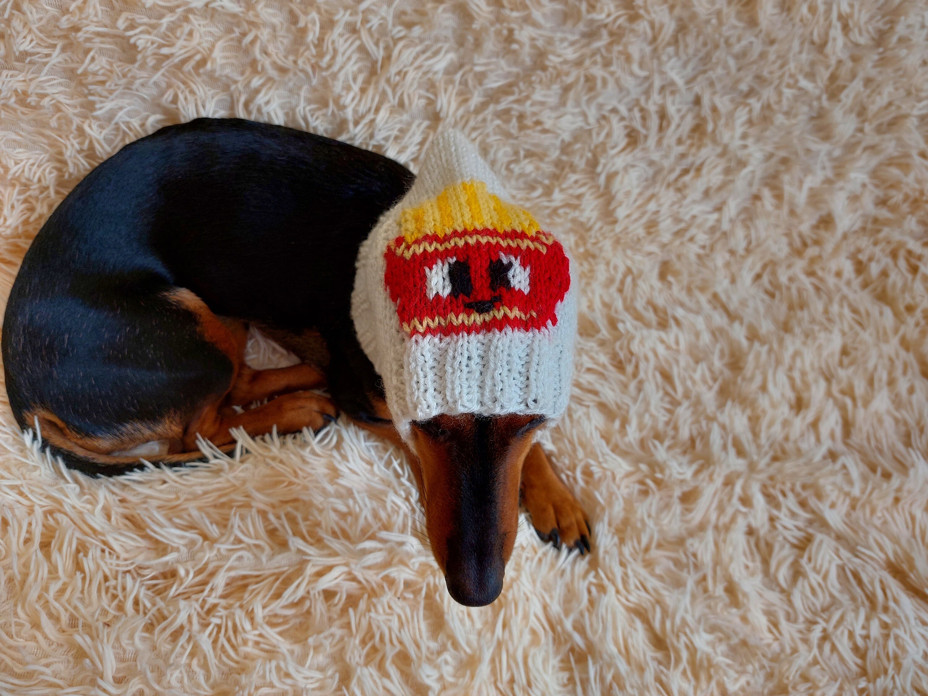 Dog french fry hat hotsell