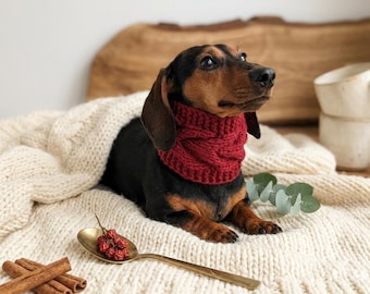 Bufanda Aran, protector de snood para perro, calentador de cuello de lana de invierno para mascota, snoods cloches para dachshund, regalo para amantes de los perros pequeños, accesorio de punto cálido para mascotas