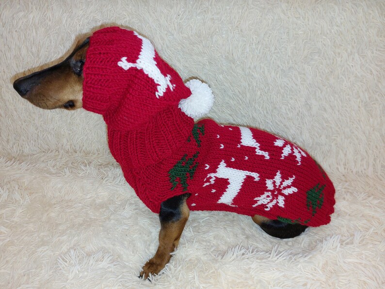 Christmas Outfit for a Dachshund Costume Sweater and Hat With Etsy