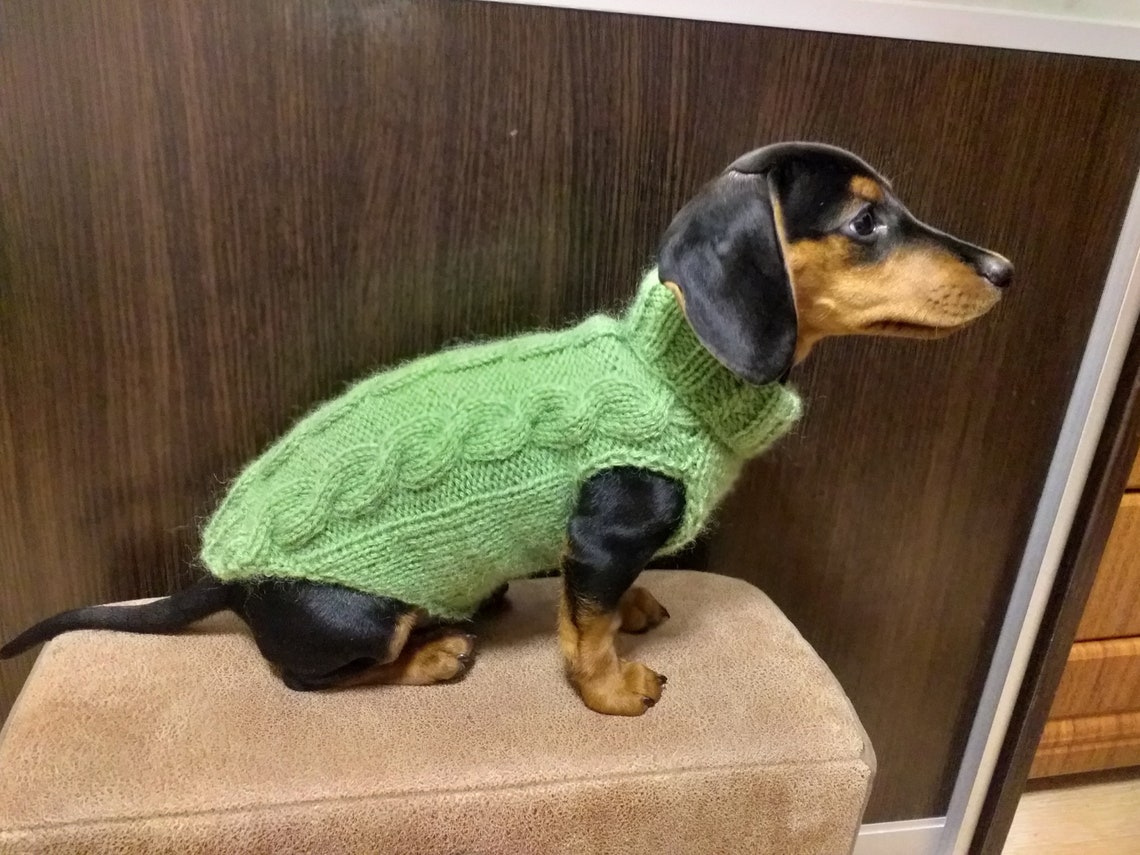 Dachshund clothes knitted sweater knitted wool sweater for Etsy