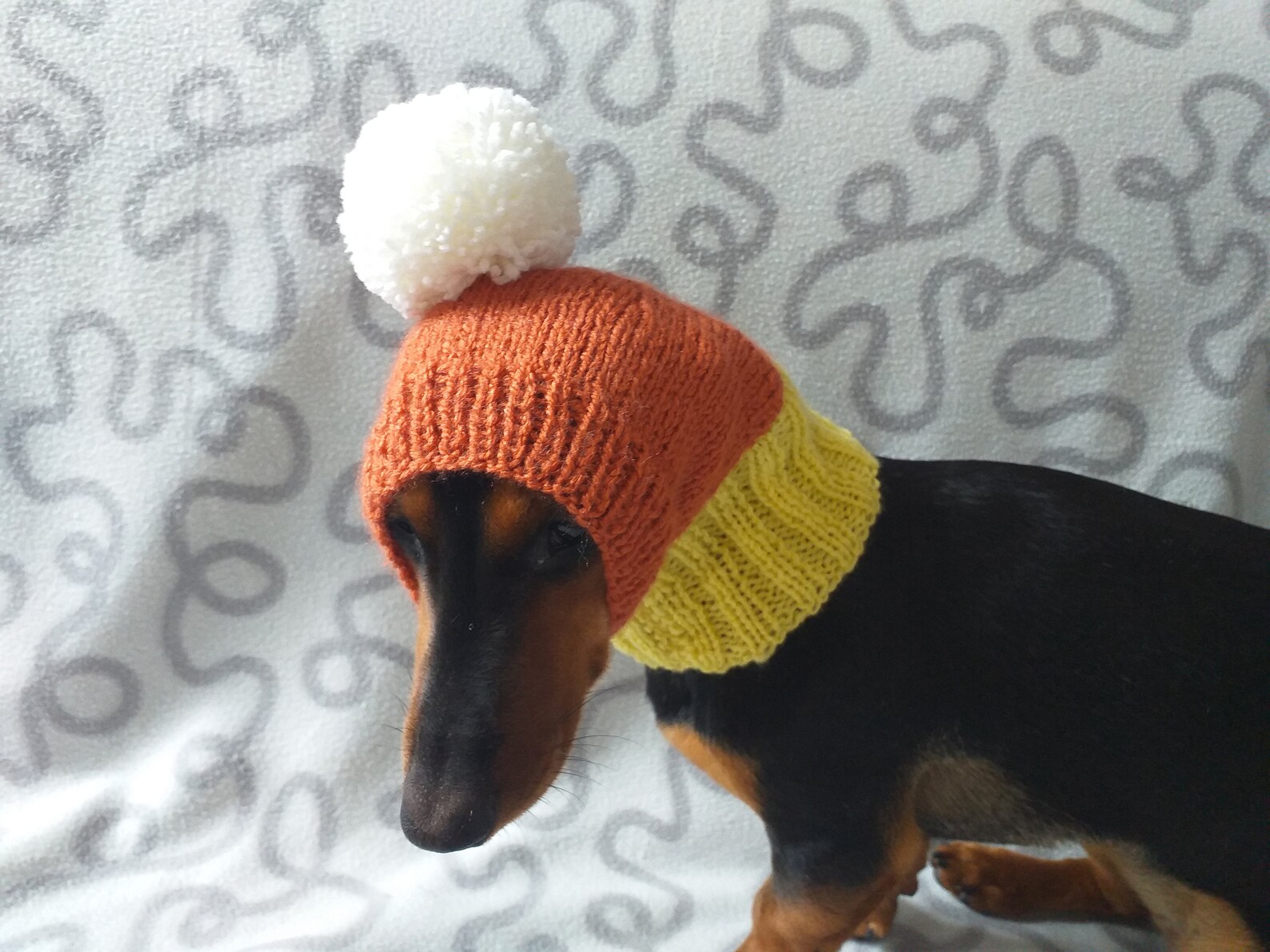 Candy Corn Dog Hathat for Dog Popcorn Halloween Hat for Dog Etsy