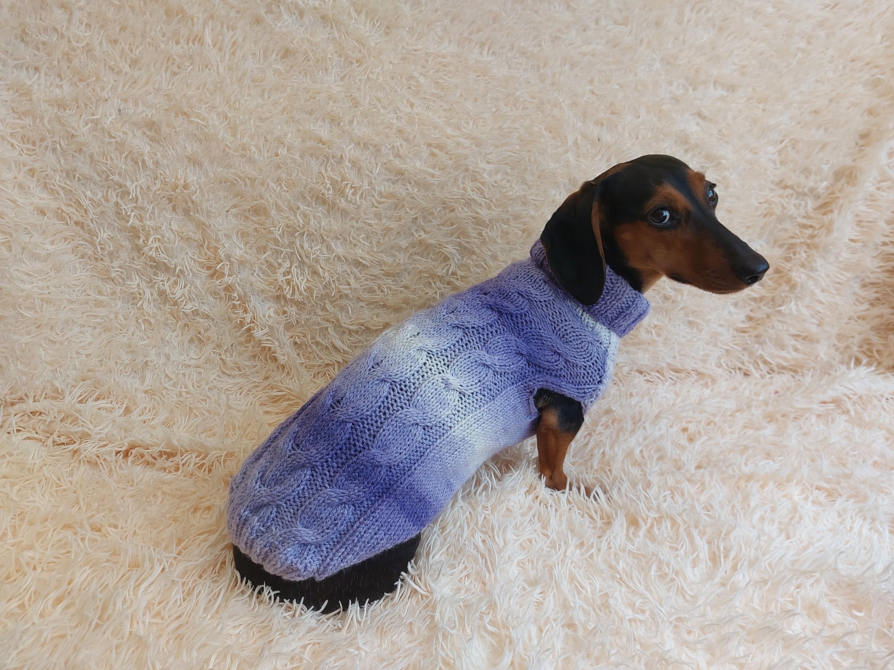 Abbigliamento cani reebok sale